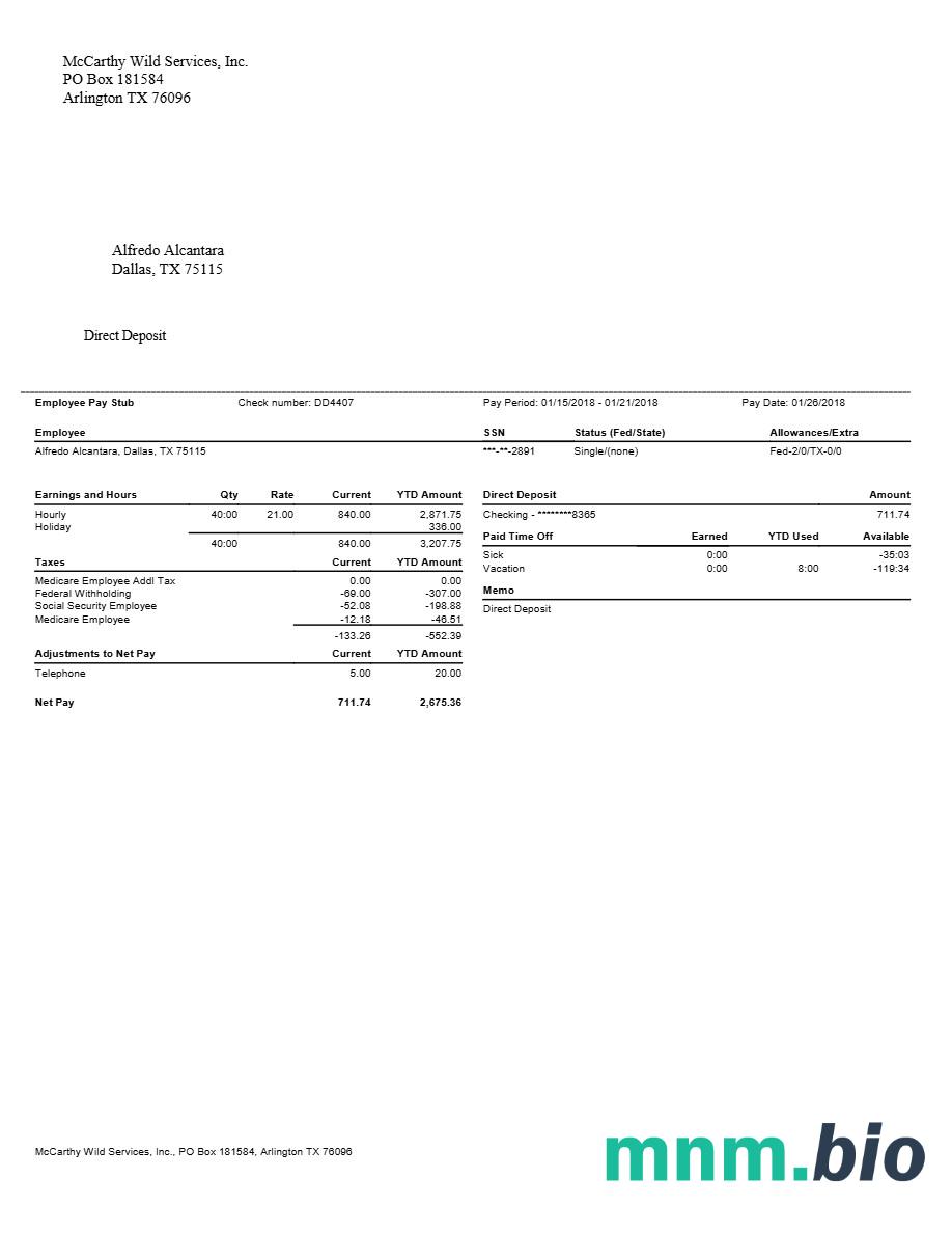 McCarthy Wild Services, Inc․ pay stubs template in Word and PDF formats